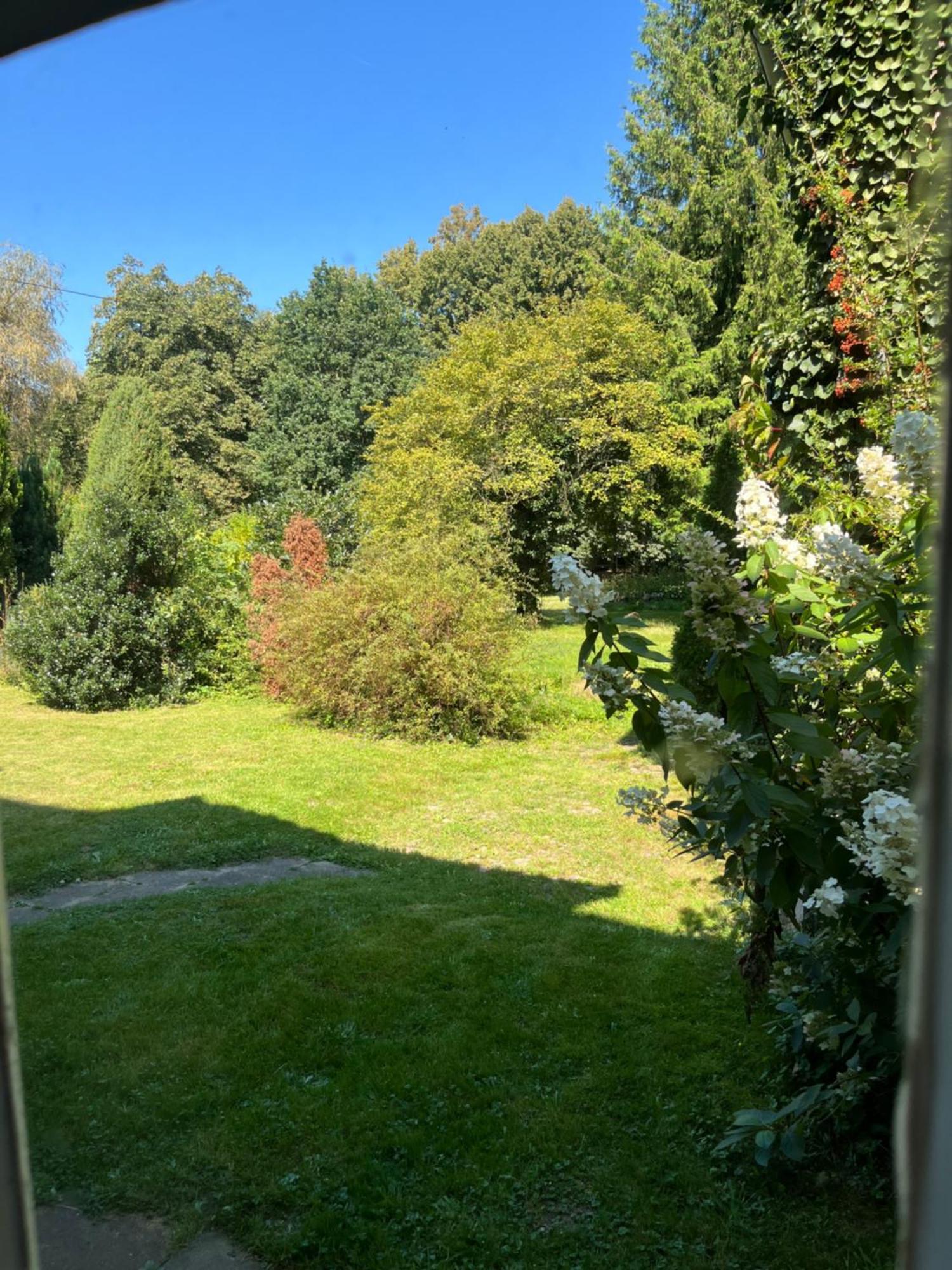 „Altes Forsthaus“ Am Schloss อูลเซิน ภายนอก รูปภาพ